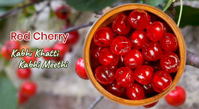 Red Cherry